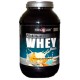 Купить спортивное питание - Протеины Platinum Whey Basic