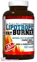 Для похудения, карнитин Lipotropic Fat Burner (90 таб) - спортивное питание