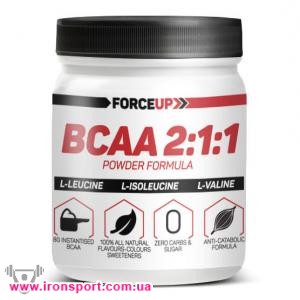 Амінокислоти BCAA 2:1:1 (500 г) - спортивне харчування