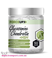 Для суглобів Glucosamine Chondroitin + MSM (90 капс.) - спортивне харчування