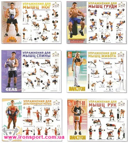 Спортивные аксессуары Комплект плакатов (6 шт) - спортивное питание