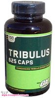 Підвищующі тестостерон TRIBULUS 625 (100 кап) - спортивне харчування