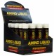 Performance (Nutrico NV) LIQUID AMINO (20 ампул по 25 мл)