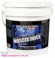 Гейнер Muscle Juice 2544 (6 кг)