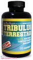 Повышающий тестостерон Tribulus Terrestris (60 кап)