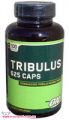 Підвищуючий тестостерон TRIBULUS 625 (100 кап)