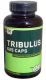 Повышающий тестостерон, Optimum Nutrition TRIBULUS 625 (100 кап)